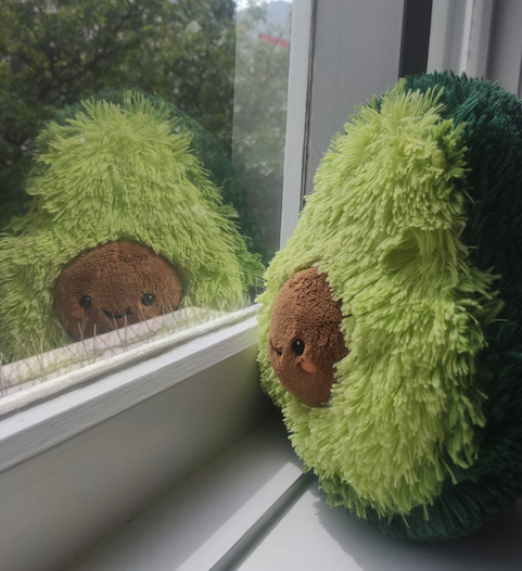 pushi looks out the window of his cuba street apartment